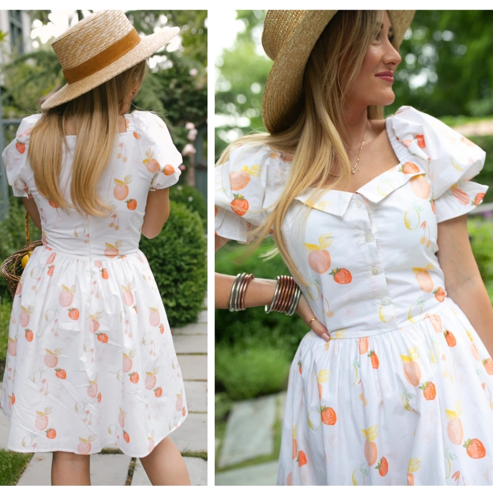 Ivy City Co Fruit Medley Graphic A-Line cotton dress